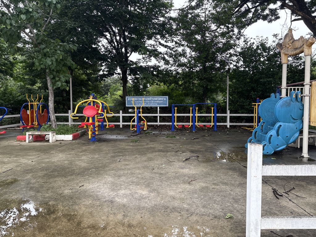 Report Image