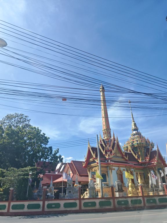 Report Image