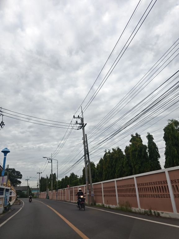 Report Image