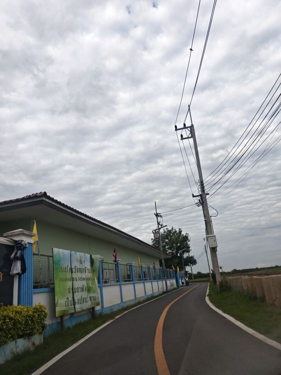 Report Image