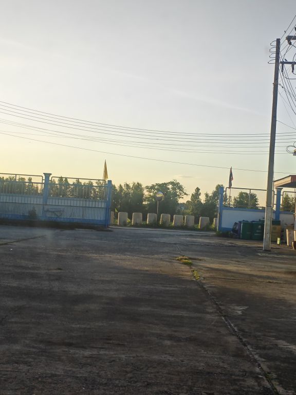 Report Image