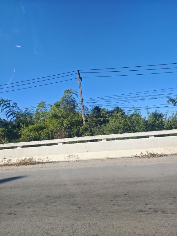 Report Image