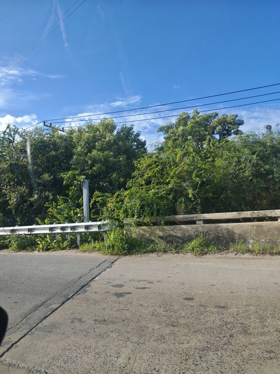 Report Image