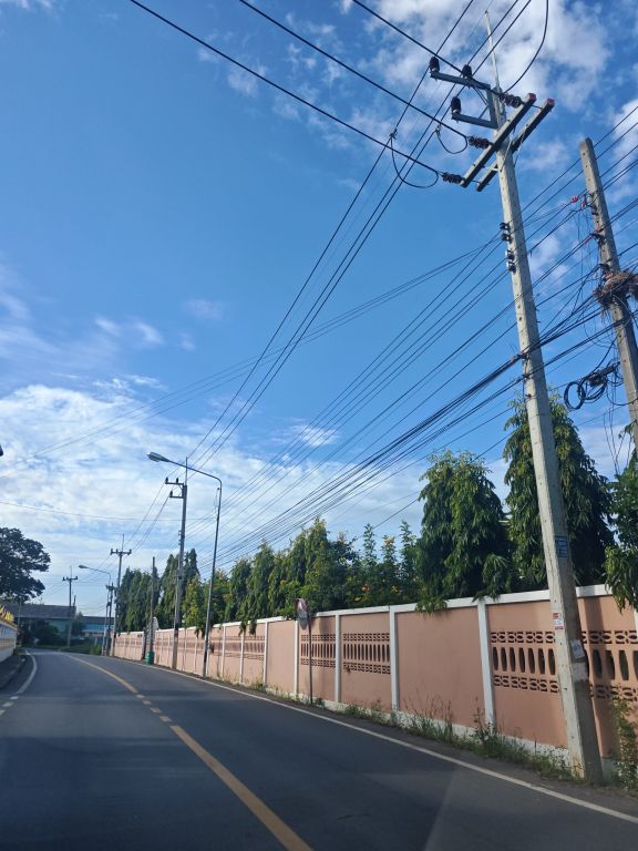Report Image