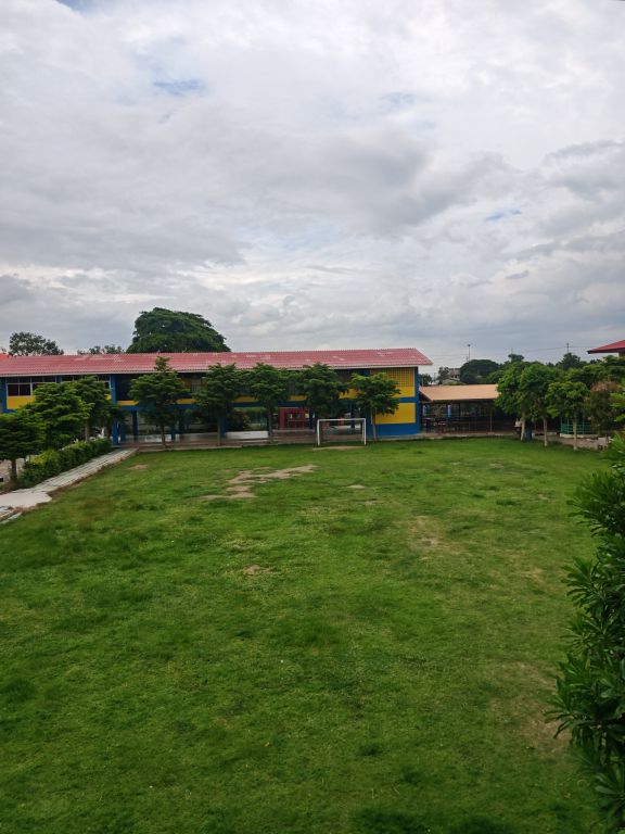 Report Image