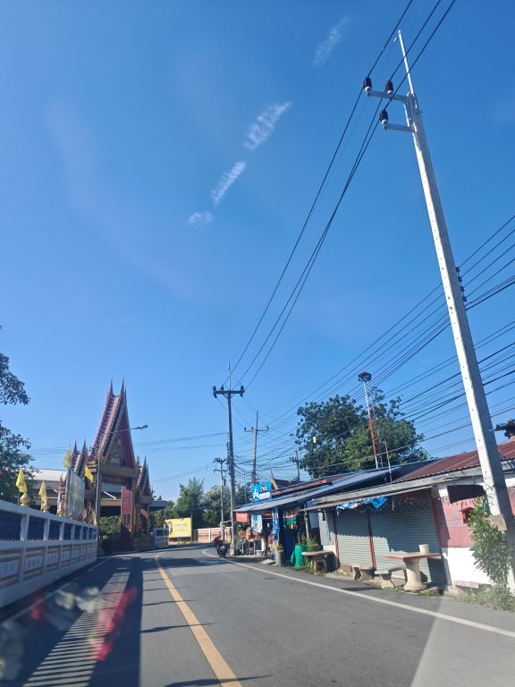 Report Image