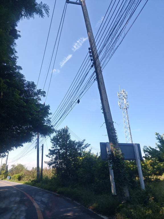 Report Image