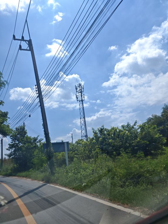 Report Image
