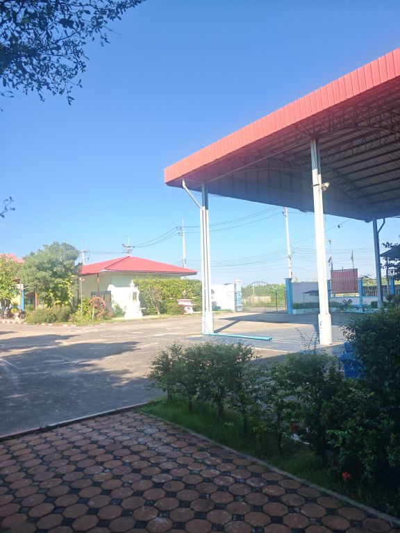 Report Image