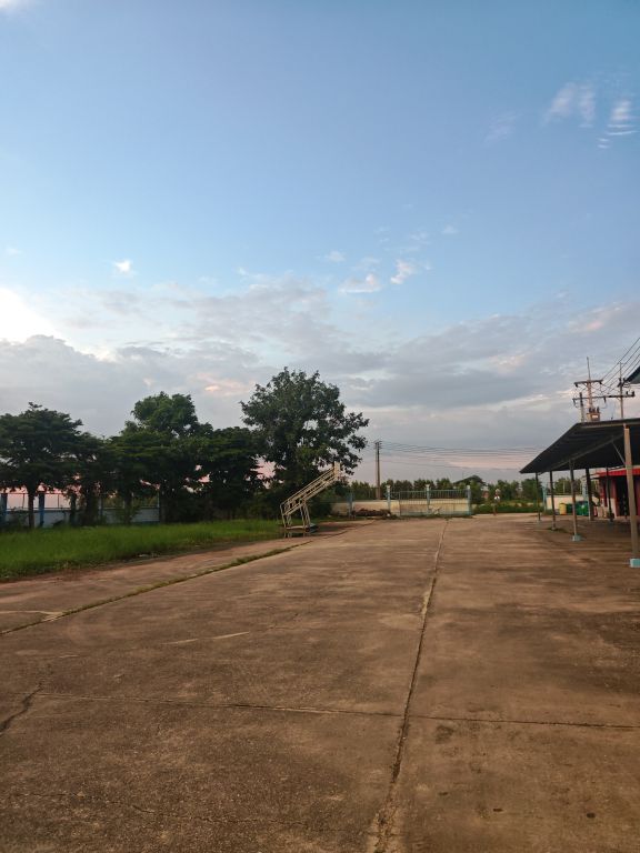 Report Image