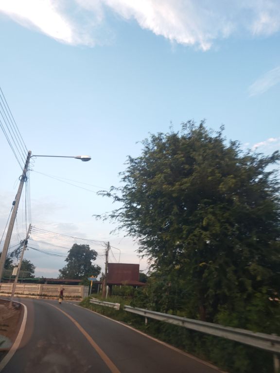 Report Image