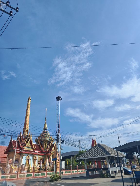 Report Image