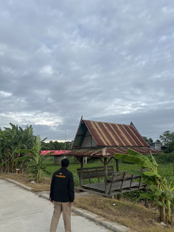 Report Image