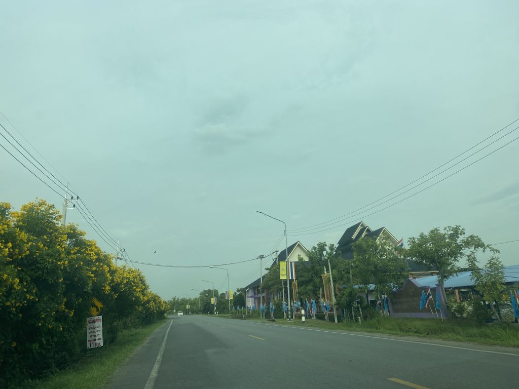 Report Image