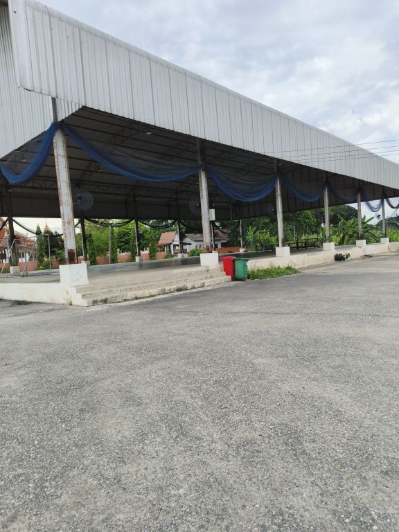 Report Image