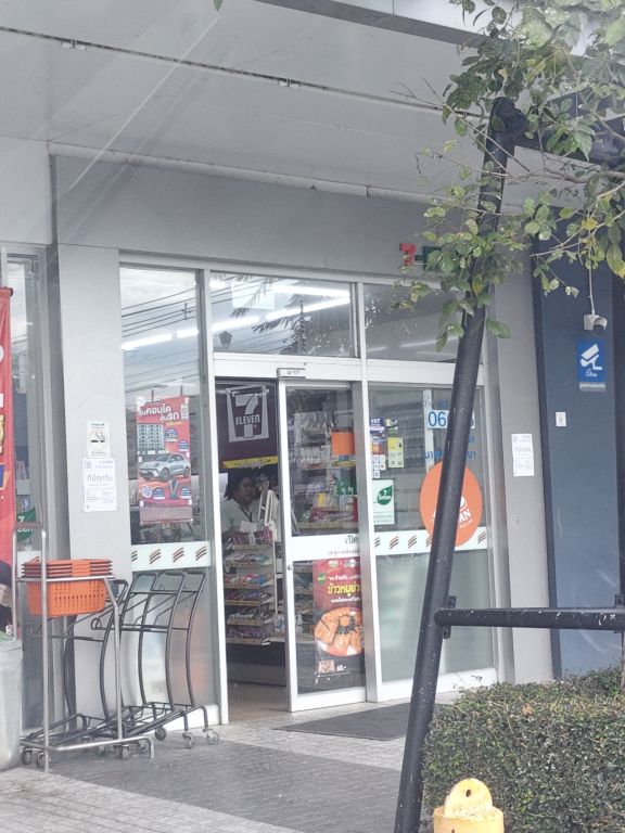 Report Image