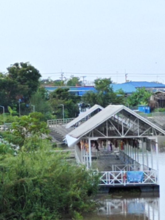 Report Image