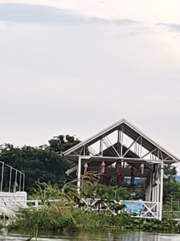 Report Image