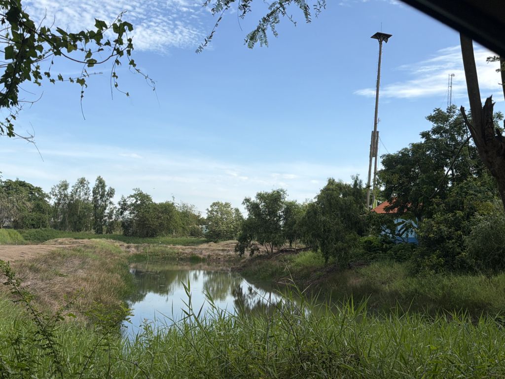 Report Image