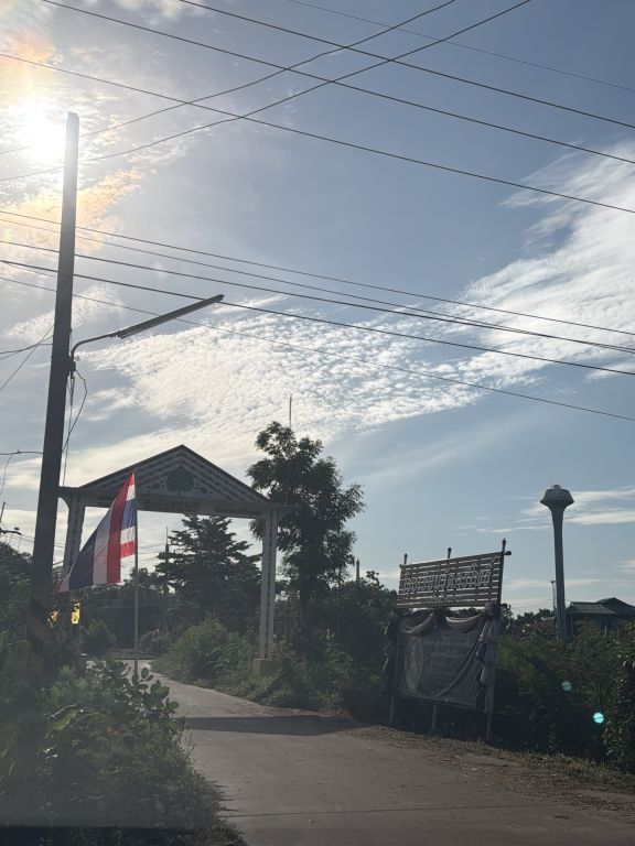Report Image