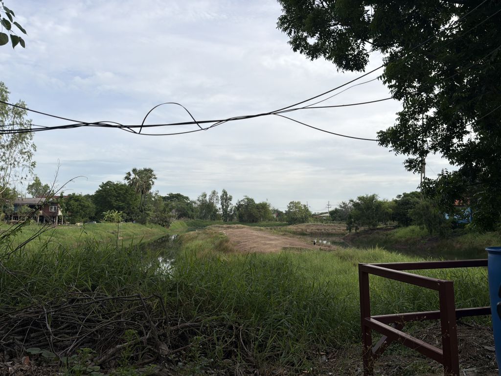 Report Image