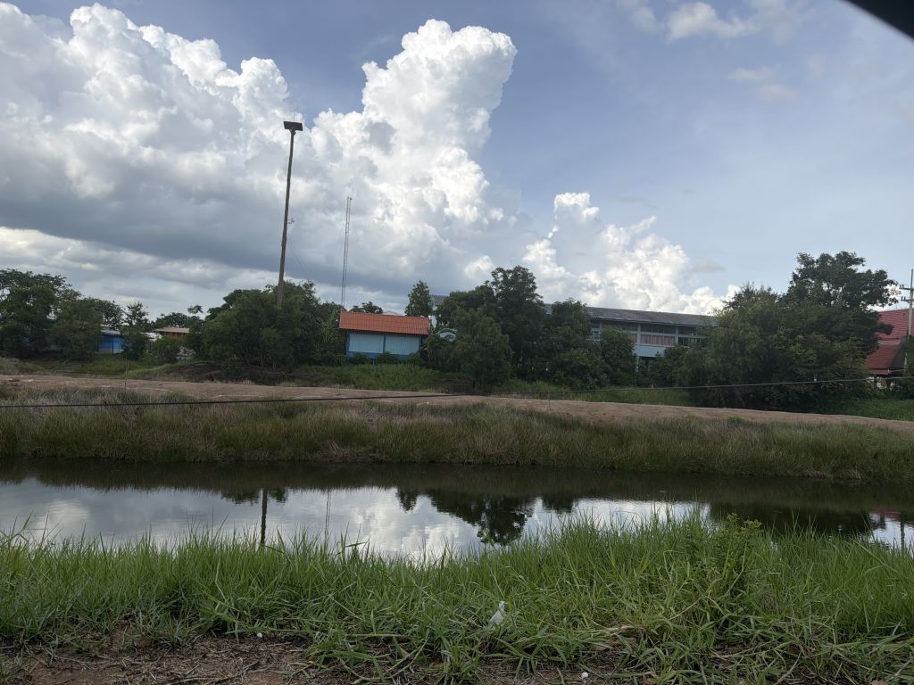Report Image