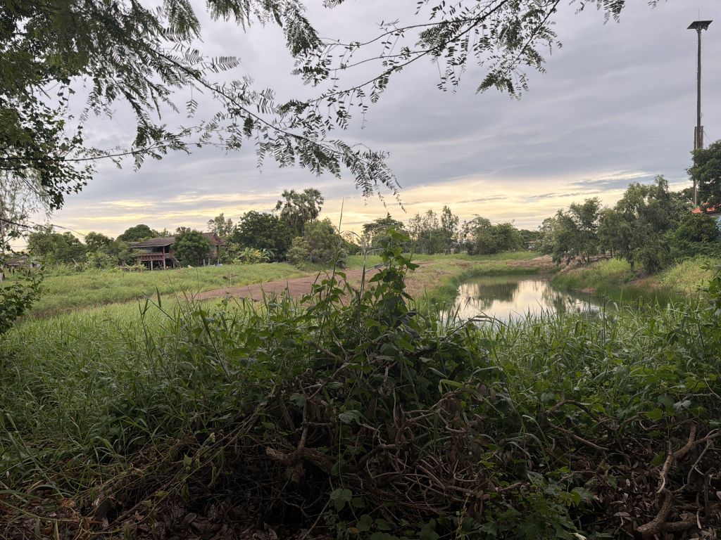 Report Image