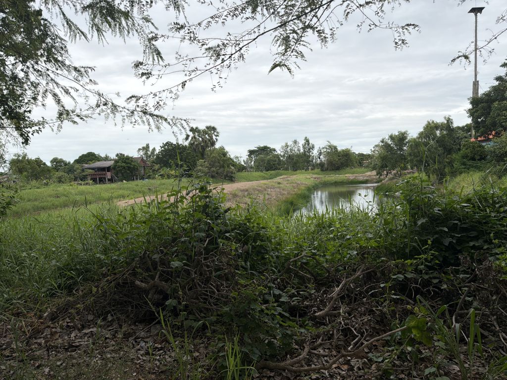 Report Image