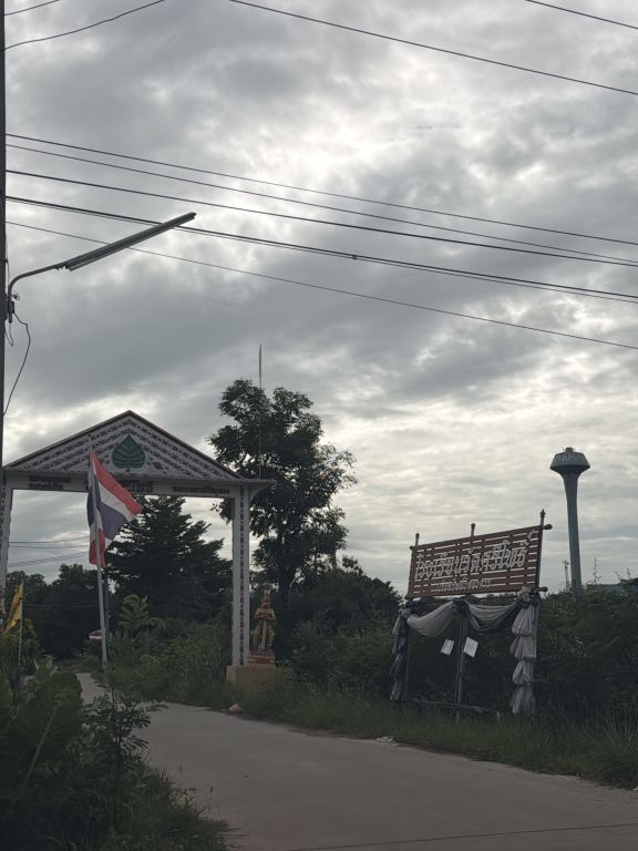 Report Image