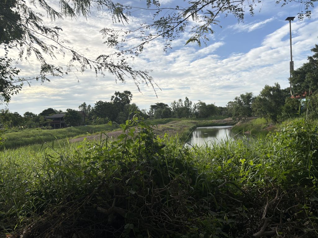 Report Image