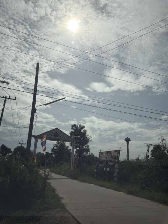 Report Image