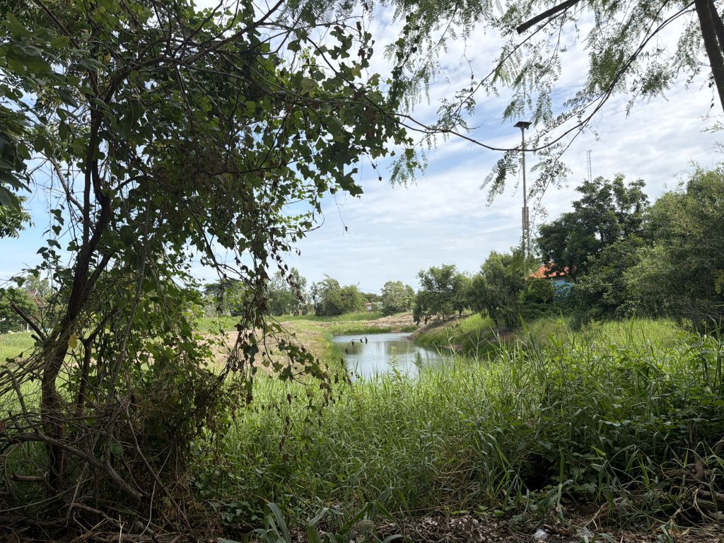 Report Image