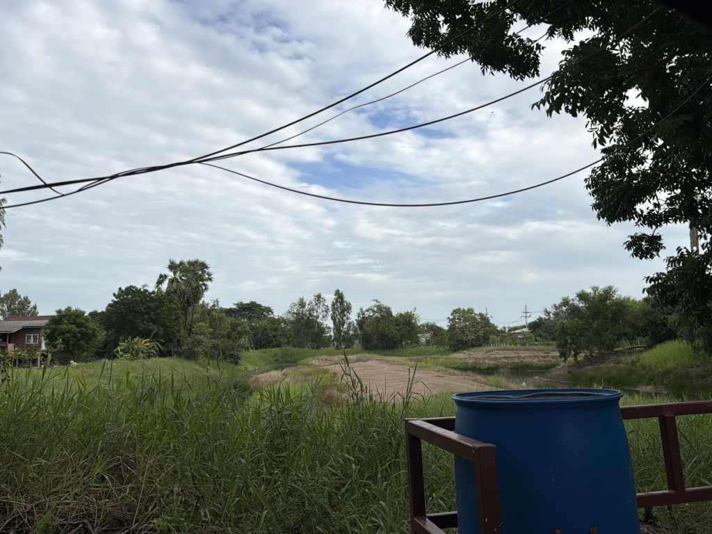 Report Image