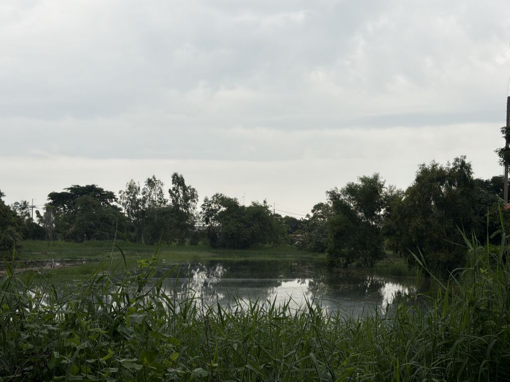 Report Image