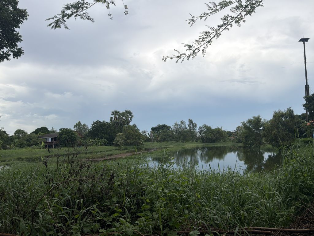 Report Image