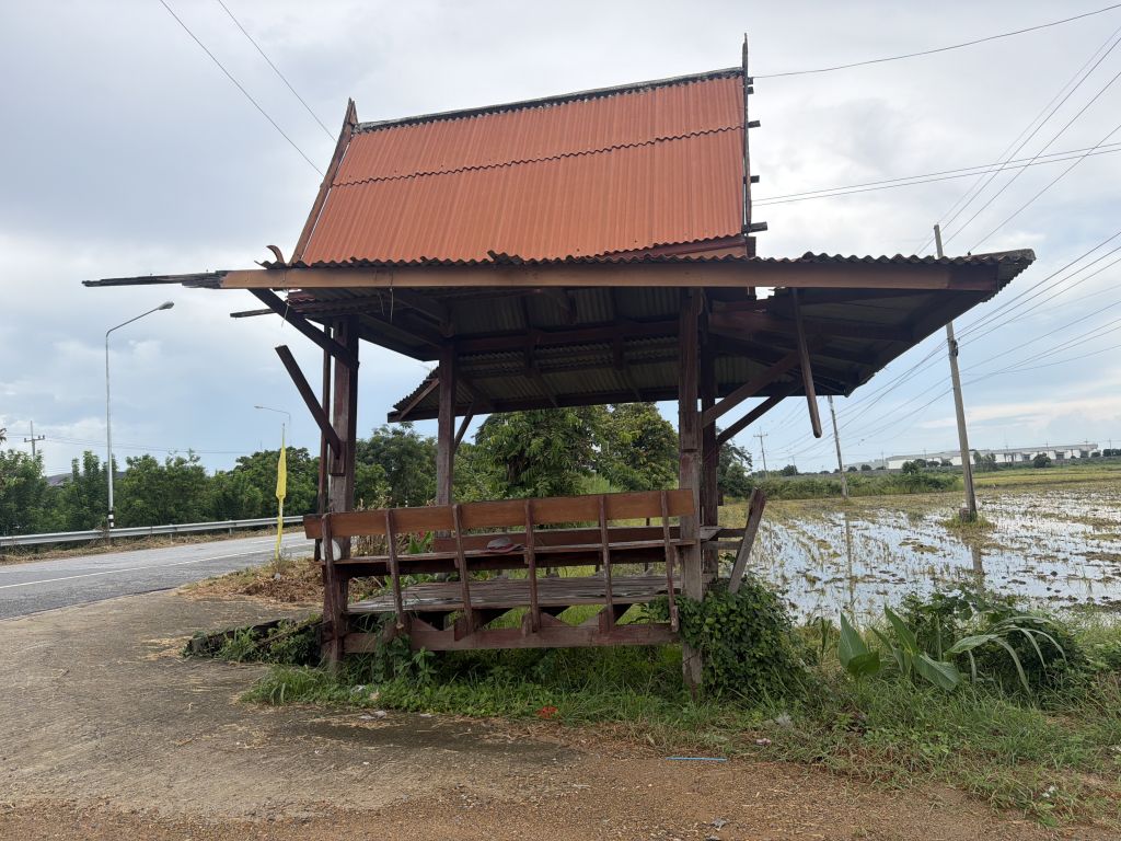 Report Image
