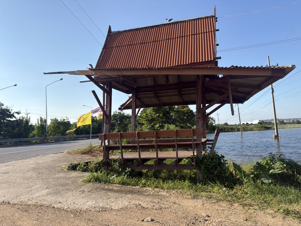 Report Image