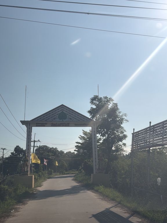 Report Image