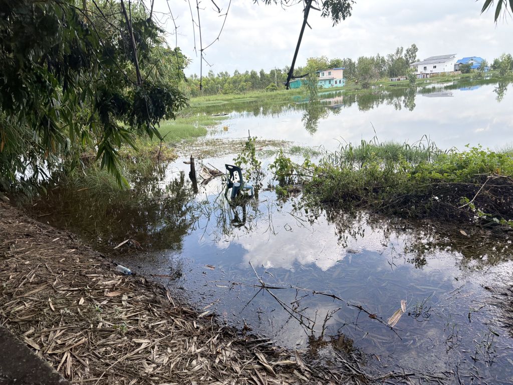 Report Image