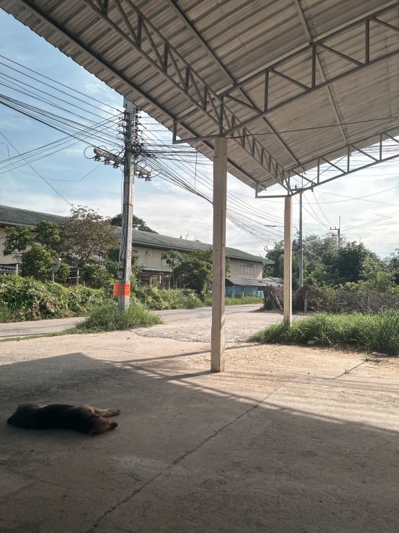 Report Image