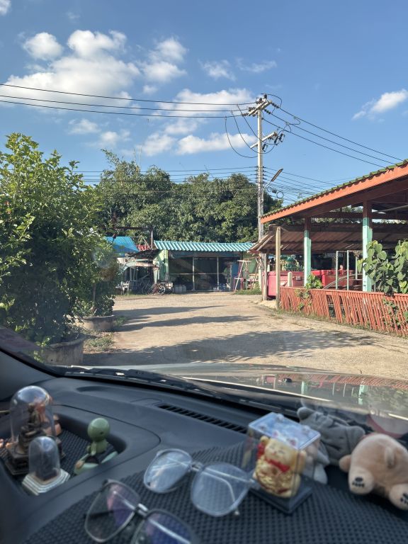 Report Image