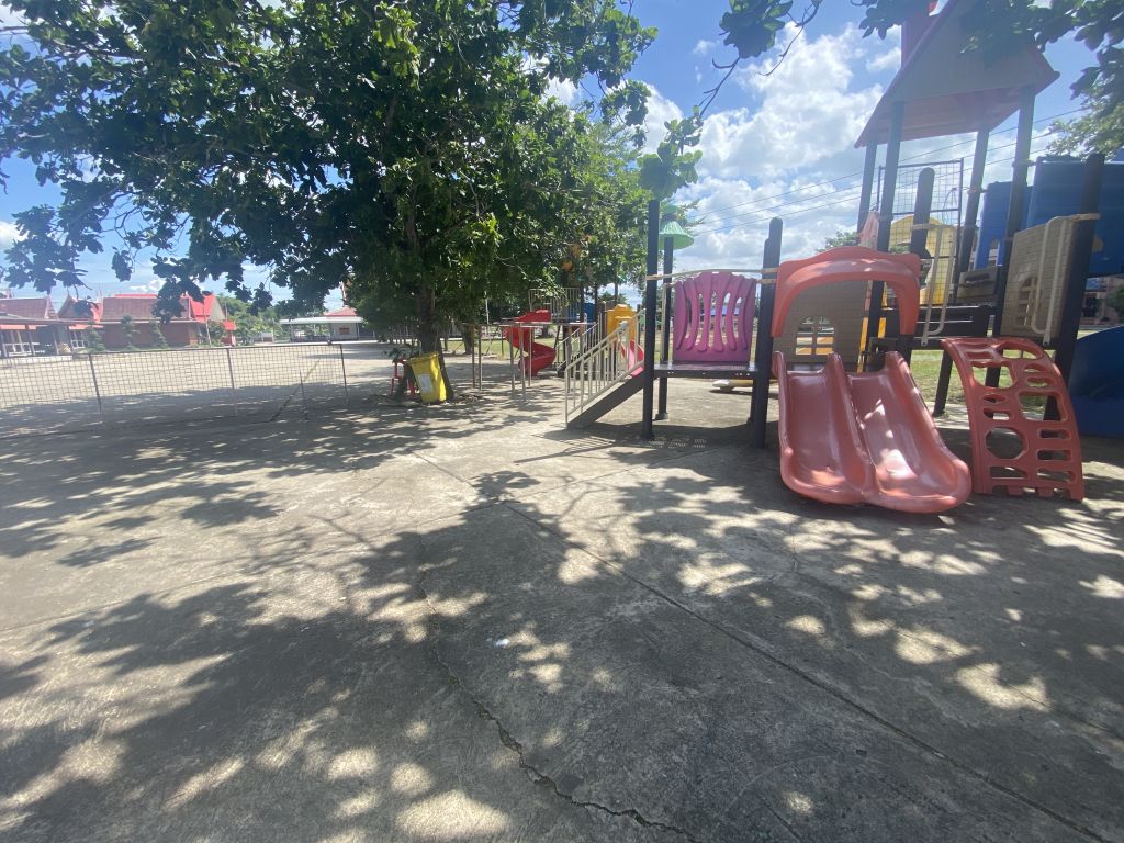 Report Image