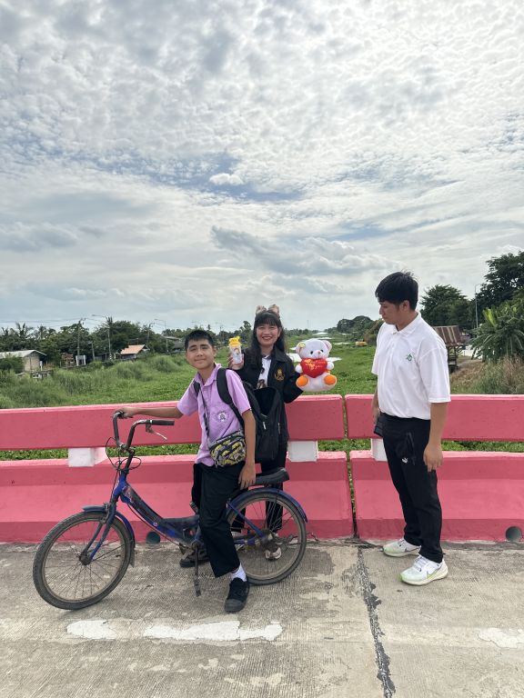 Report Image
