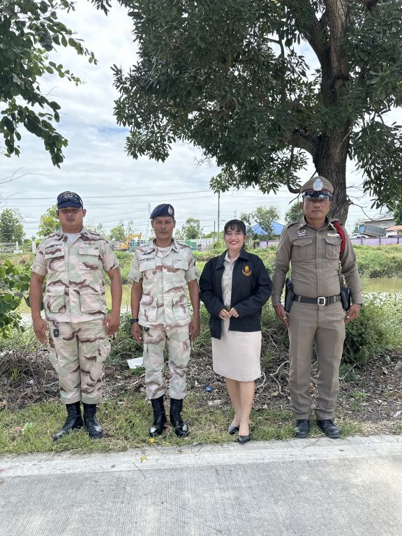 Report Image