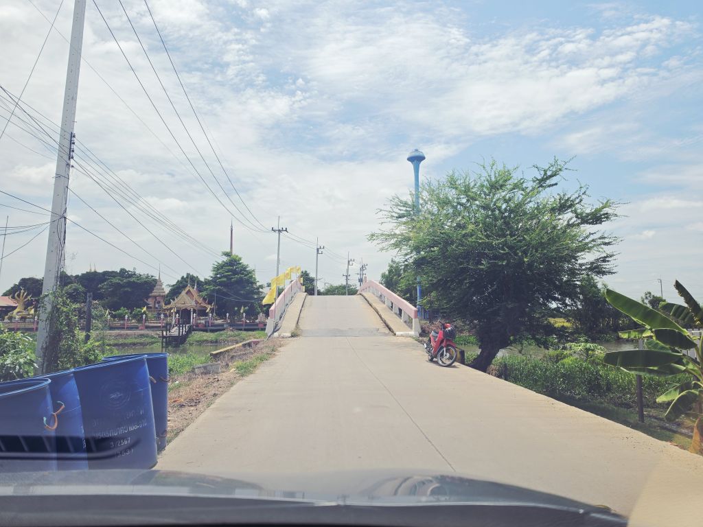 Report Image
