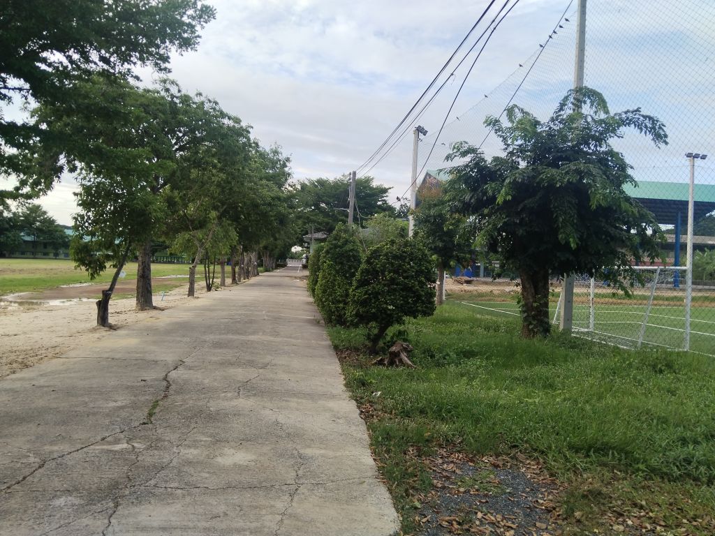 Report Image