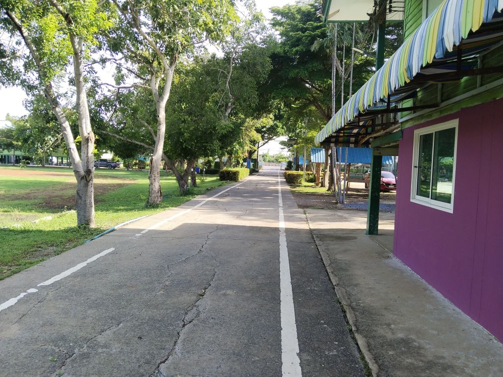 Report Image