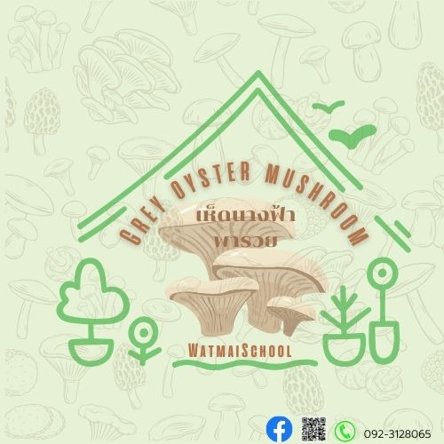 Logo โรงเรียนวัดใหม่ (ประพิตรประชาคาร)