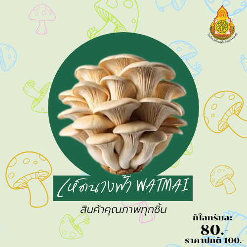 เห็ดนางฟ้าพารวย thumbnail
