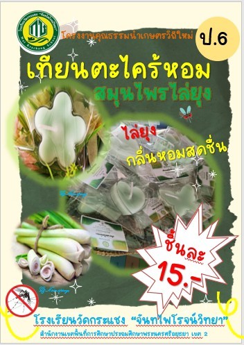 เทียนตระไคร้หอมไล่ยุง thumbnail